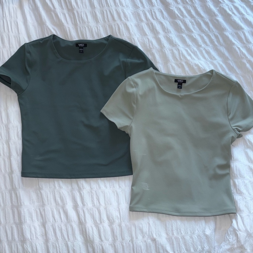 Express Fitted Business Casual T-Shirt Bundle